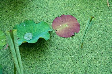 大年初一预售票房达3.9亿元 《长津湖之水门桥》平均票价超60元